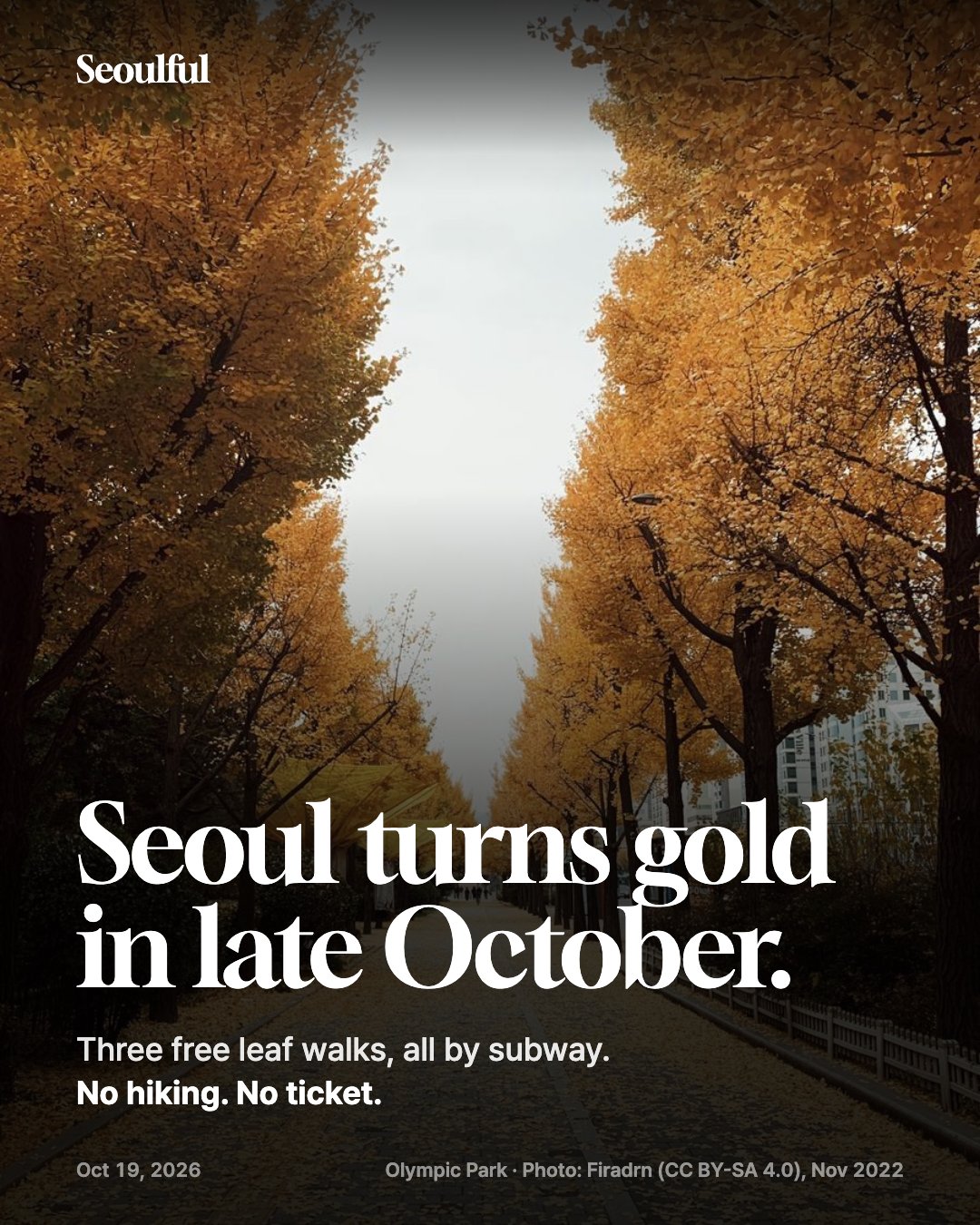 Seoul fall foliage 2026. Peak color in the Seoul area starts in late October. Here are three free, flat leaf walks with the exact subway exits, what to look for at each and a half-day route.