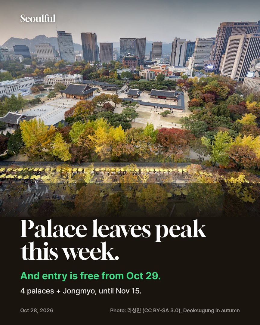 Seoul palace fall leaves 2026. Seoul-area fall leaves are forecast to peak Oct 29–31, the same week all 4 palaces and Jongmyo go free (Oct 29 – Nov 15). Where the leaves are best inside the palaces, closed days, and a half-day route.